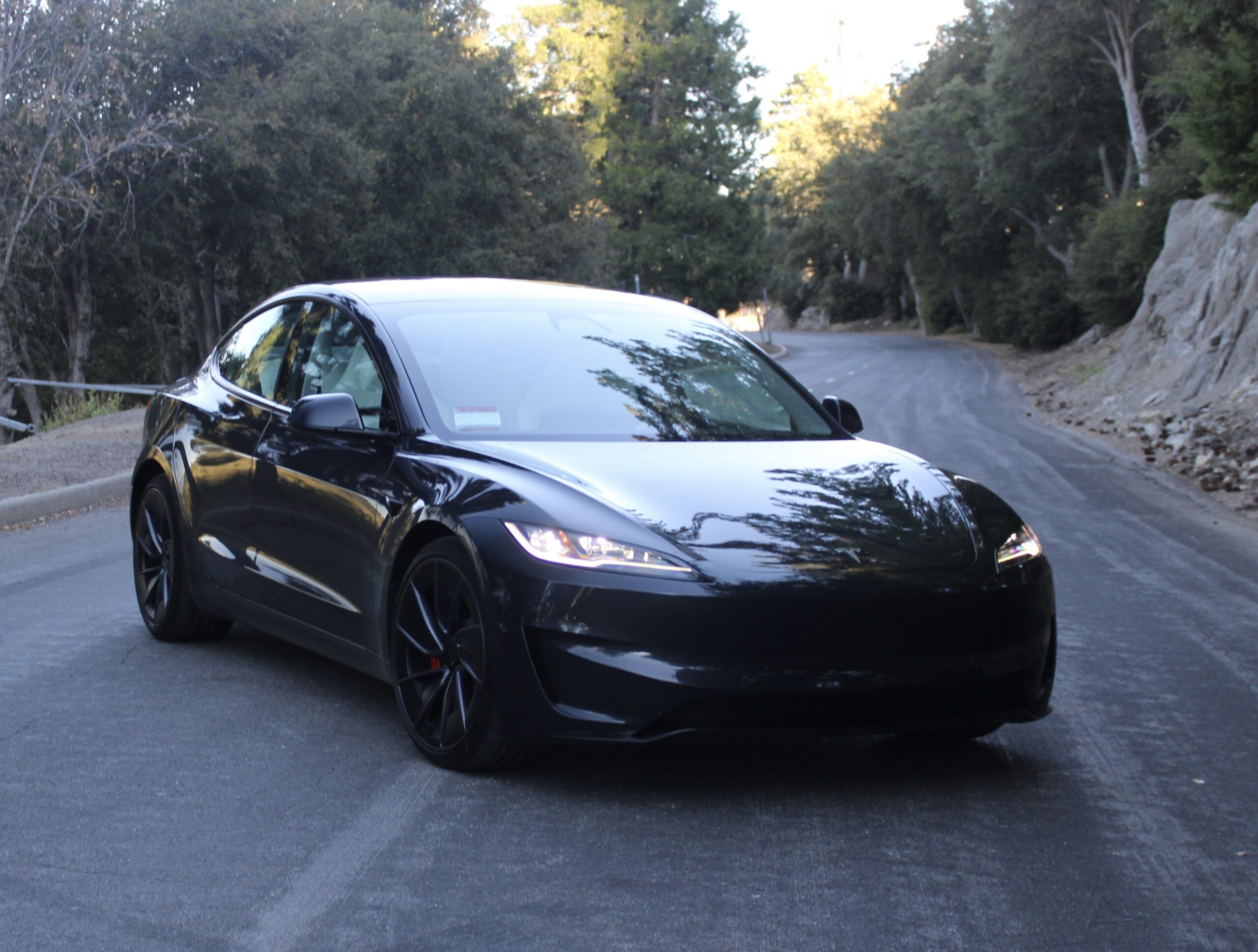 Tesla Model 3 Performance